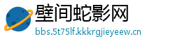 壁间蛇影网